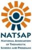 Natsap Logo