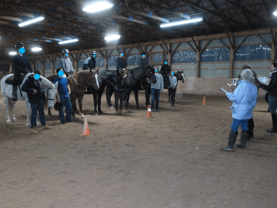The equine therapy program