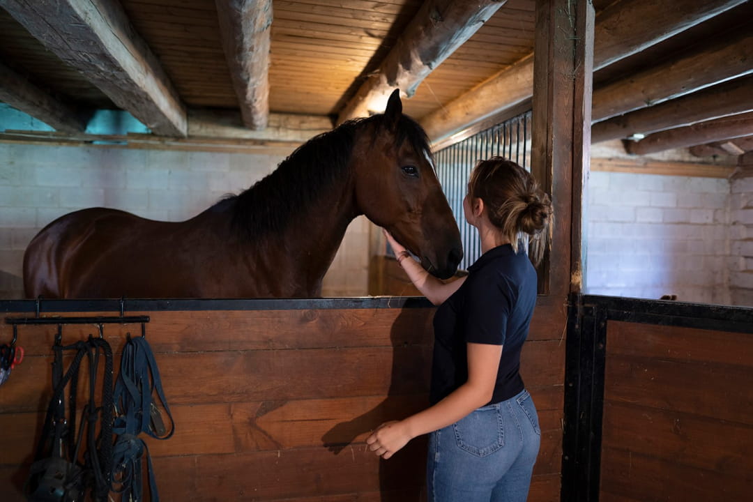 Girl smile at horse