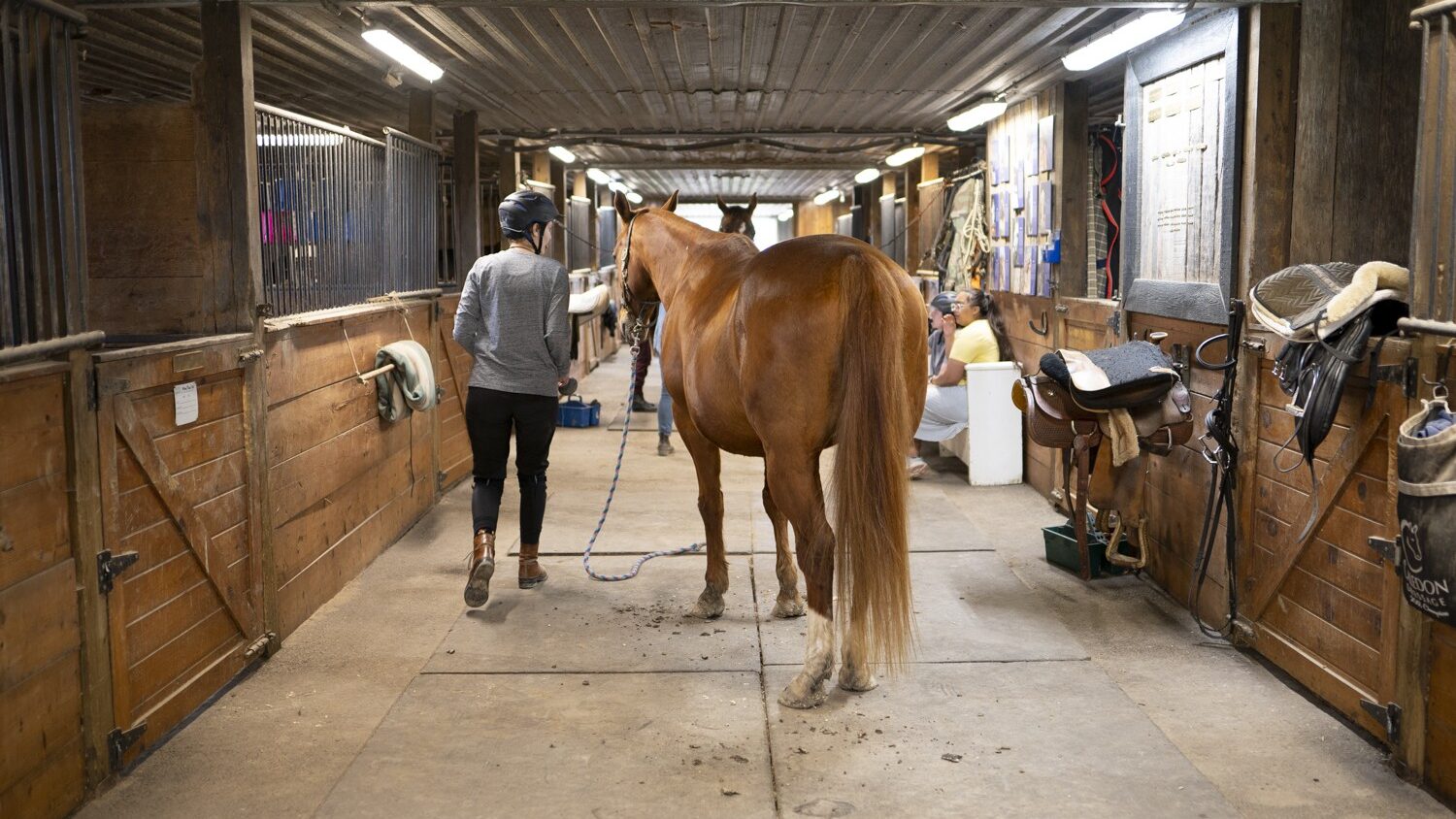 PRI Team learning how to ride horses 